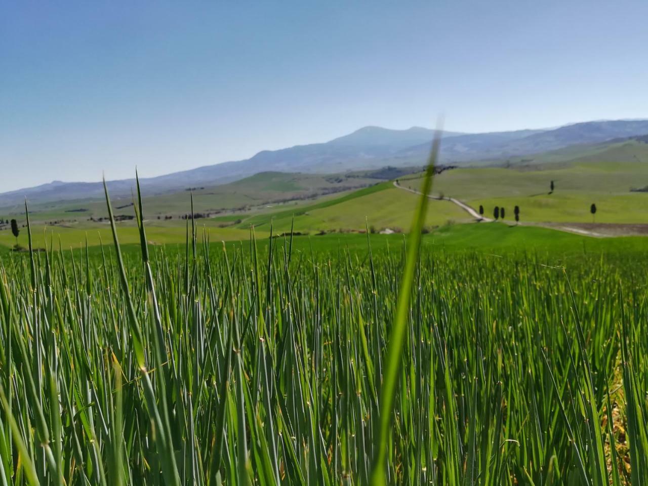 Il Giglio B&B Pienza Luaran gambar